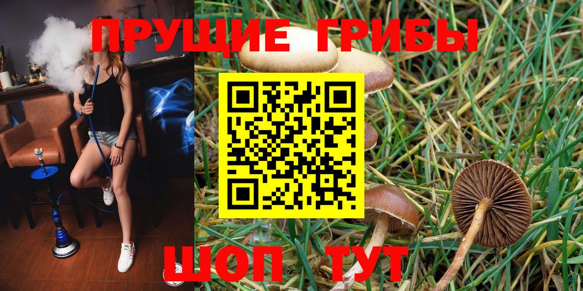 Галлюциногенные грибы Cubensis  Вход с VPN  Иркутск 